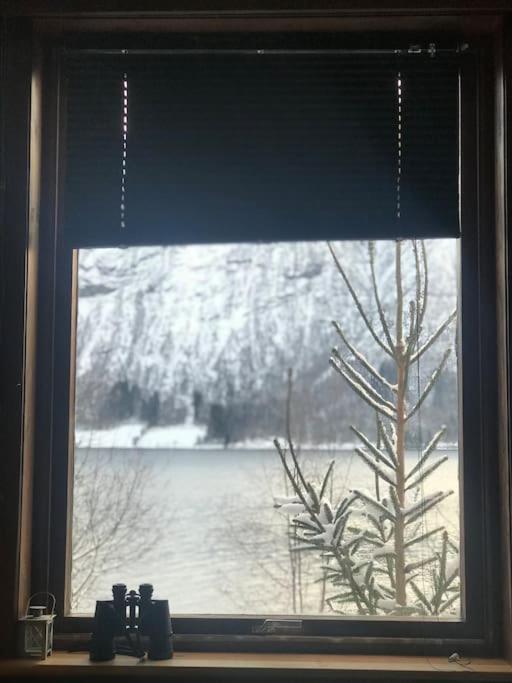 Apartment With Lake View In Jolster Årdal Екстериор снимка